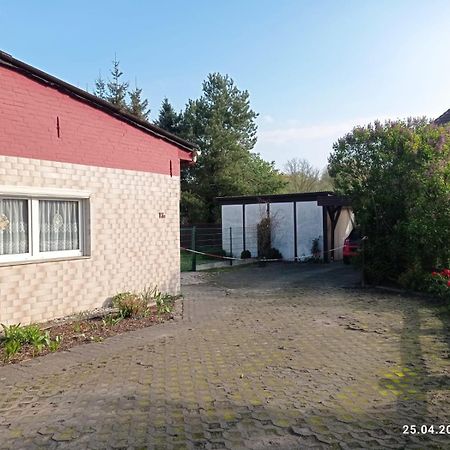 Ferienwohnung Reepschlaeger Papendorf  Exteriér fotografie